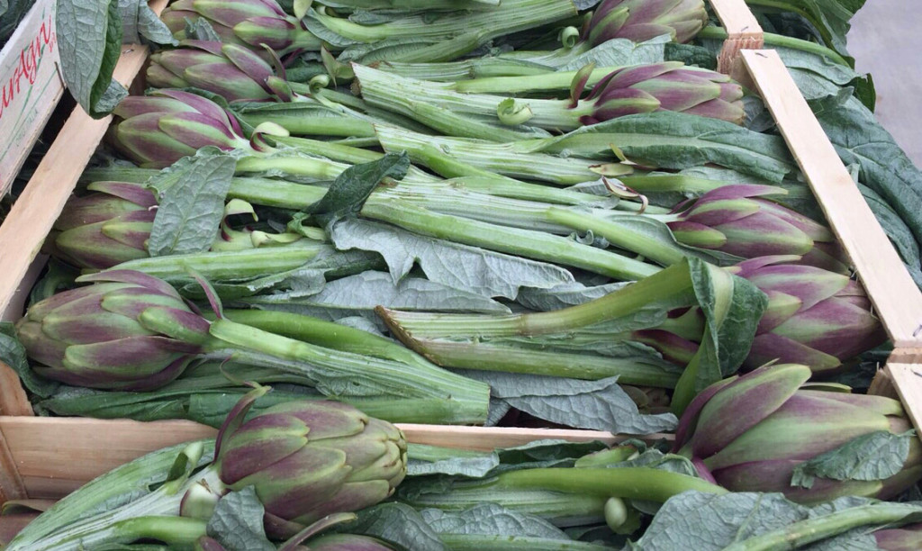 carciofi